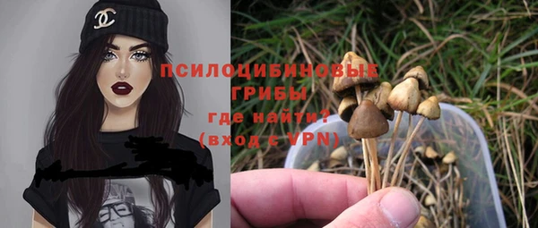 Альфа ПВП Баксан
